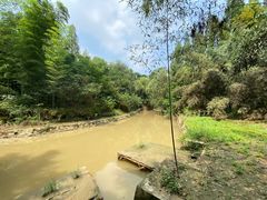 -日照海滨国家森林公园