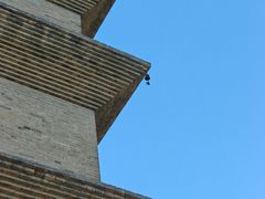 -正定古城-开元寺