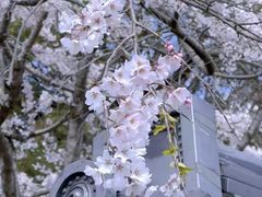 -醍醐寺
