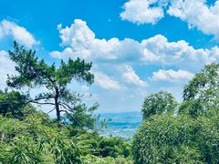 -莫干山风景区