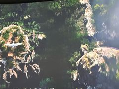 -中国湿地博物馆