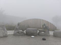 -王莽岭风景区