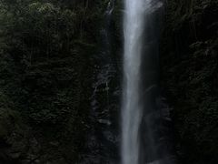 -莫里热带雨林景区