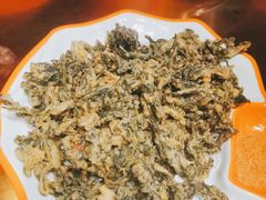 -向外鱼乐·土菜·虹鳟鱼