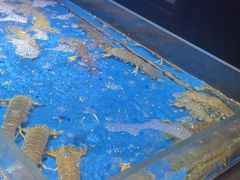-徐记海鲜(大雁塔|金都店)