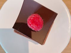-梧桐