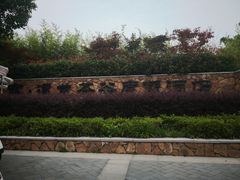 -帐篷客·溪龙茶谷度假酒店