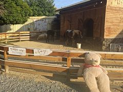 -HERRE·FARM 赫尔露营农场·团建聚会包场