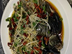 -古道惠风饭庄