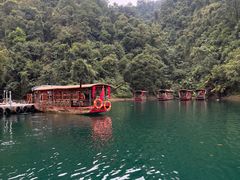 -鼎湖山风景区