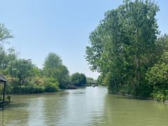 -溱湖国家湿地公园