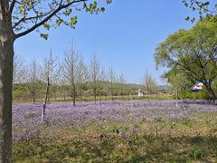 -大连铭湖国际观光牧场