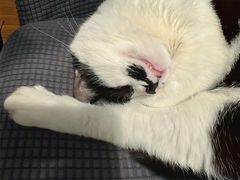 -路易时光(蕴川路店)