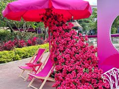 -灵玲国际马戏城