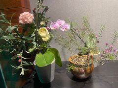 -谷咖啡·鲜花绿植花园餐厅
