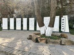 -青岛即墨希尔顿逸林酒店·開自助餐厅