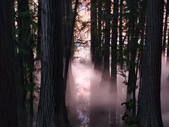 -东湖落雁景区