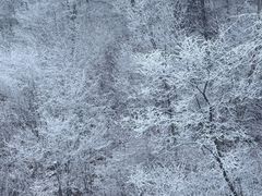 -长白山万达国际滑雪场