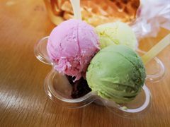 -成裕雪糕店(士多店)