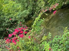 -桂林古东瀑布景区