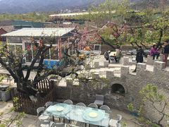 -闻道食府烙饼卷带鱼(原车耳营店原大觉寺店)