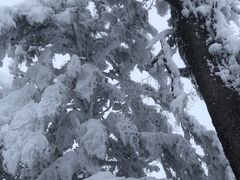 -瓦屋山景区