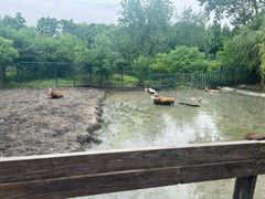 -溱湖国家湿地公园