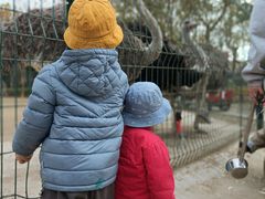 -宿豫区运河湾森林动物园