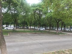 -安飞驰驾校·学车连锁(金高店)