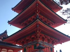 -有栖山 清光院 清水寺