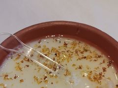 -峨嵋酒家 南北川菜 优选烤鸭(广渠路店)