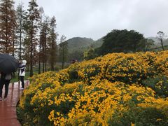 -广州市石门国家森林公园