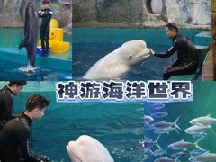 -威海华夏城景区