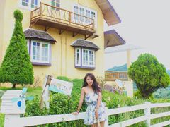 -黄色小屋