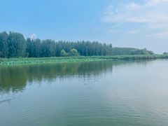 -滕州微山湖红荷湿地景区