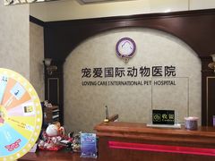 -宠爱国际动物医院· 猫科· 外科·中兽医(长白店)