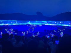 -鼎盛王朝康熙大典实景演出