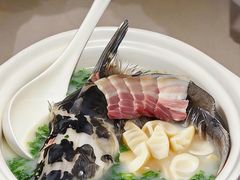 -圆苑(静安寺店)