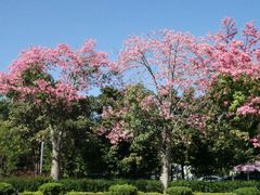 景点-风云岭森林公园