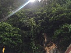 -老虎庙