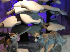 -华夏文旅西安度假区