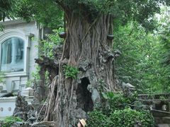 -荔湾博物馆