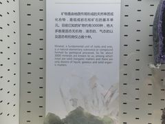 -浙江自然博物院(杭州馆)