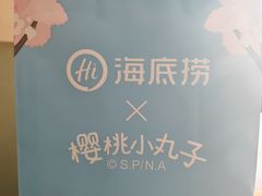 -海底捞火锅(赛格国际购物中心店)