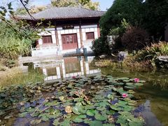 -武汉园博园(武汉自然博物馆)
