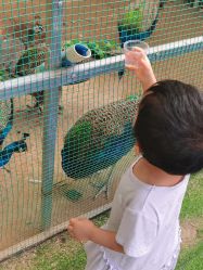 -萌宠亲子动物乐园(槐房万达店)