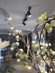 -S庆熙美学皮肤管理