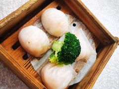 -龙的酒楼·手工早茶·顺德菜(近良路店)