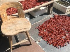 -百花人家(清水镇店)