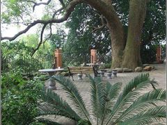 -鼓浪屿琴海庄园海景酒店